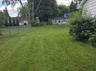 Ann c.'s Lawn Maintenance service result
