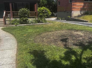 Weeding by James Abernathy for Deanna H. in Cincinnati, OH