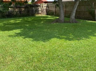 John S.'s Lawn Care service result