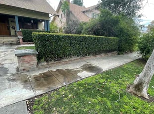 Bush Trimming by Jvon Robinson for Kathleen S. in Riverside, CA