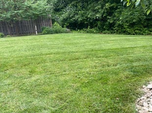 Jon C.'s Lawn Maintenance service result