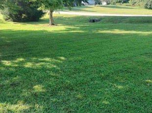 Fany C.'s Lawn Service service result