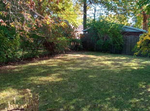 Cleanups by Cliff Adkins for Scott h. in St. Louis, MO