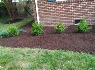 Mulching by Reuben Bradley for Mark L. in Virginia Beach, VA