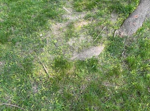 Aeration by Jevonta Johnson for Claude M. in Milwaukee, WI