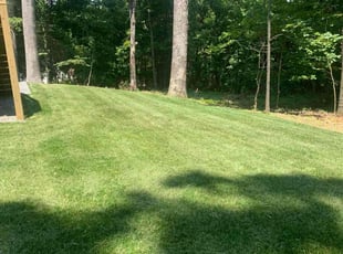 Daniel Fred J.'s Lawn Service service result