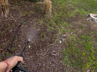 Cleanups by Uriel Aldrete for Eddie L. in Carmichael, CA