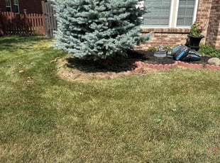Bush Trimming by Luis Contreras for Dj G. in McCordsville, IN