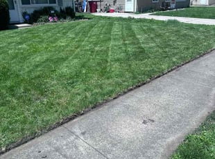 Charlotte F.'s Lawn Service service result