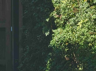 Bush Trimming by Nathaniel Stanley for Joseph V. in Atlanta, GA