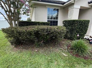 Sarah V.'s Bush Trimming service result