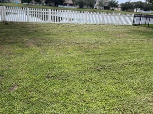 Bruce H.'s Grass Cutting service result
