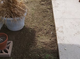 Weeding by Johnie Parker for Cherokee B. in Fresno, CA