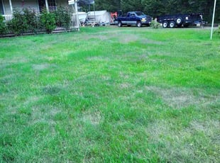 Cleanups by Chester Sikorski for Linda C. in Spanaway, WA