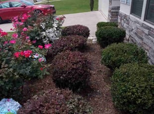 Bush Trimming by Charles Robinson for Pamela B. in Cartersville, GA