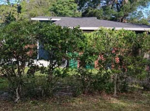 Bush Trimming by Karol Frisancho for Melissa S. in DeLand, FL