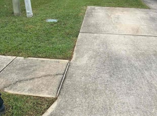 David N.'s Lawn Mowing service result