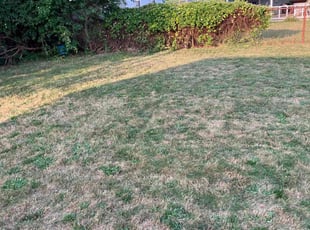 Cleanups by Markese Seals for Daniel C. in Bellmawr, NJ