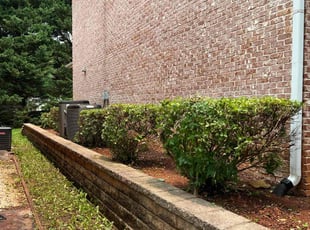 Bush Trimming by Phillip StPreuve for Jesse B. in Lawrenceville, GA