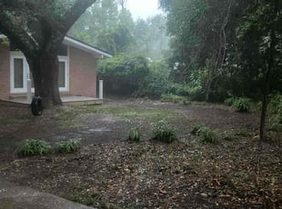 Leaf Removal by Ronald Wade for Helanius W. in Tallahassee, FL