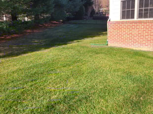 Leaf Removal by Rose Valle for Liban J. in Vienna, VA