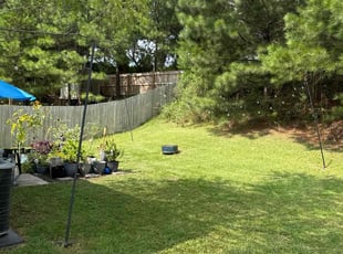Traci P.'s Yard Cutting service result