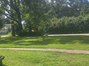 Charles F.'s Lawn Maintenance service result