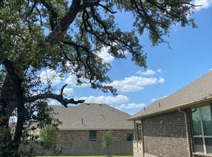 Kira H.'s Lawn Care service result