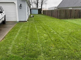 Melanie W.'s Lawn Mowing service result