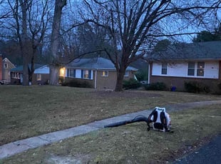 Leaf Removal by Matthew Rutledge for Rebecca T. in Richmond, VA