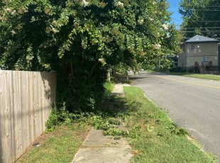 Bush Trimming by Richard Tucker for Alicia B. in Richmond, VA