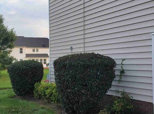 Bush Trimming by Rohan James for Arielle P. in Chester, VA