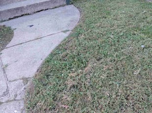 Cleanups by Jeffery Richardson for John P. in Cincinnati, OH