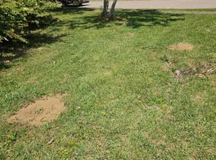 Cleanups by Edgar Rangel for Admin H. in Montgomery, AL