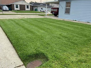 Gaylen S.'s Grass Cutting service result