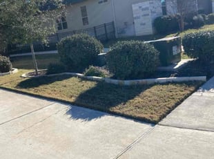 Bush Trimming by Monti Samuels for John Y. in Boerne, TX