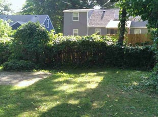 Bush Trimming by Julio Almestica for Nellie M. M. in Kansas City, MO