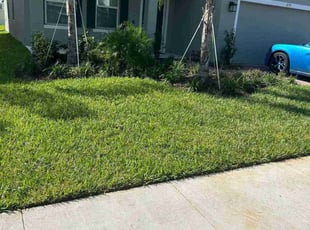 Janet S.'s Lawn Mowing service result