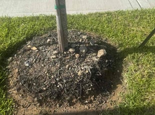 Weeding by Joe Gamache for ANN C. in Porter, TX