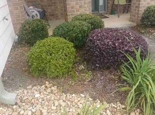Bush Trimming by Enrique Juarez for Belinda T. in Acworth, GA