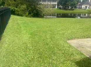Roland F.'s Lawn Mowing service result