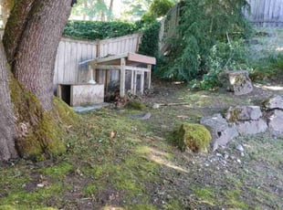 Weeding by Roberto Medina for Vikas S. in Sammamish, WA
