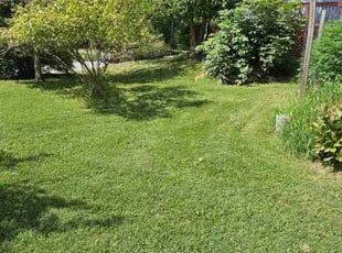 Ouaieda I.'s Lawn Mowing service result