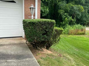 Bush Trimming by Marcos Lopez for Shondra H. in Atlanta, GA