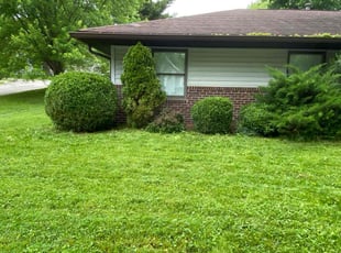 Bush Trimming by Clint Aaron for Gabbie L. in Bloomington, IN