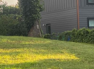 Bush Trimming by Gerald Oyerinde for Corey B. in Atlanta, GA