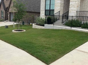 Angela F.'s Lawn Service service result