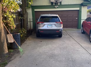 Leaf Removal by Steven Ambrose for Paula C. in Chicago, IL