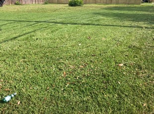 Joel O.'s Lawn Mowing service result