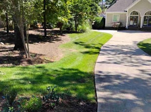 Tammy M.'s Lawn Mowing Service service result